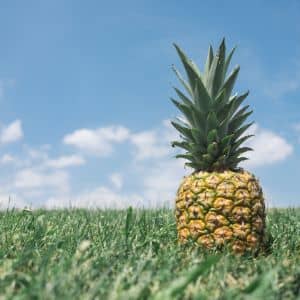 Pinapple